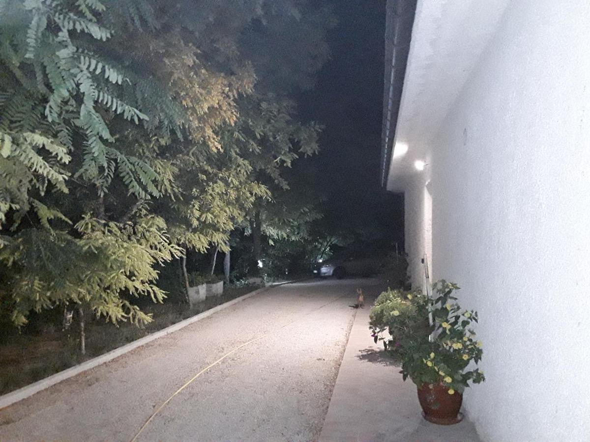 La Casa Nel Verde Larino Exteriör bild