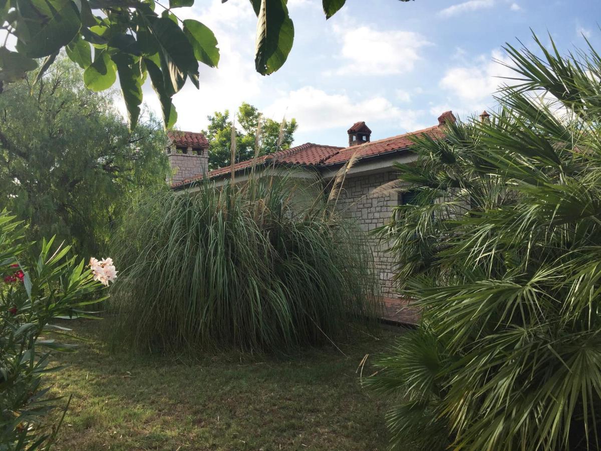 La Casa Nel Verde Larino Exteriör bild