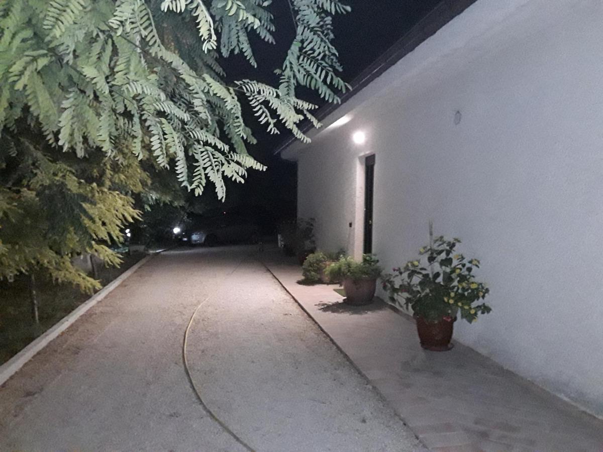 La Casa Nel Verde Larino Exteriör bild